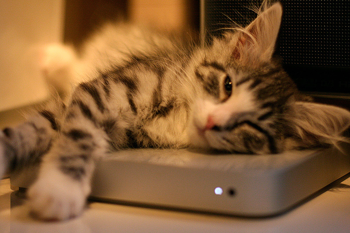 Apple TV
