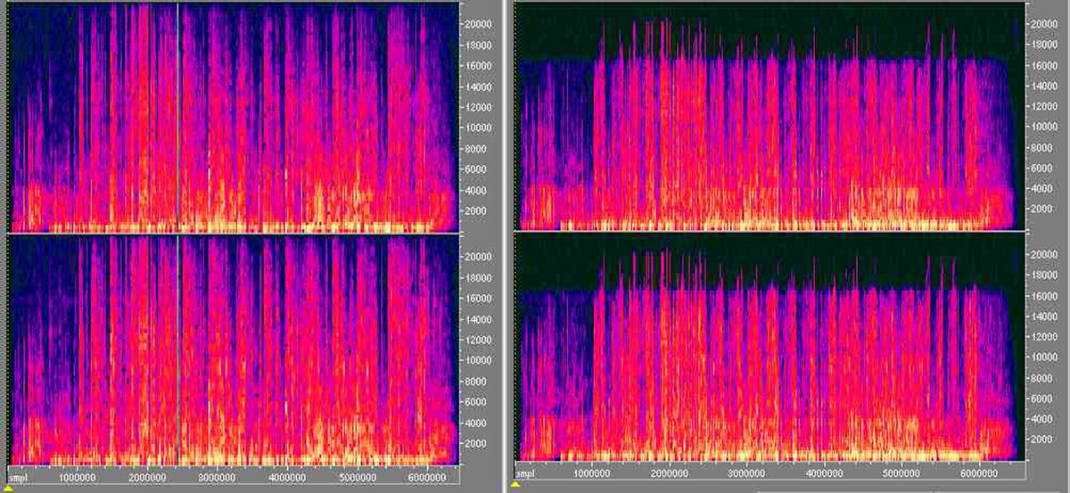 MP3