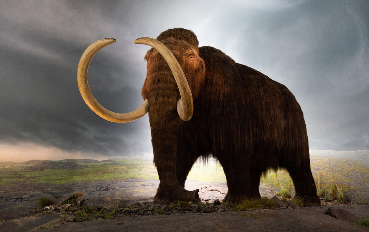 Mastodon
