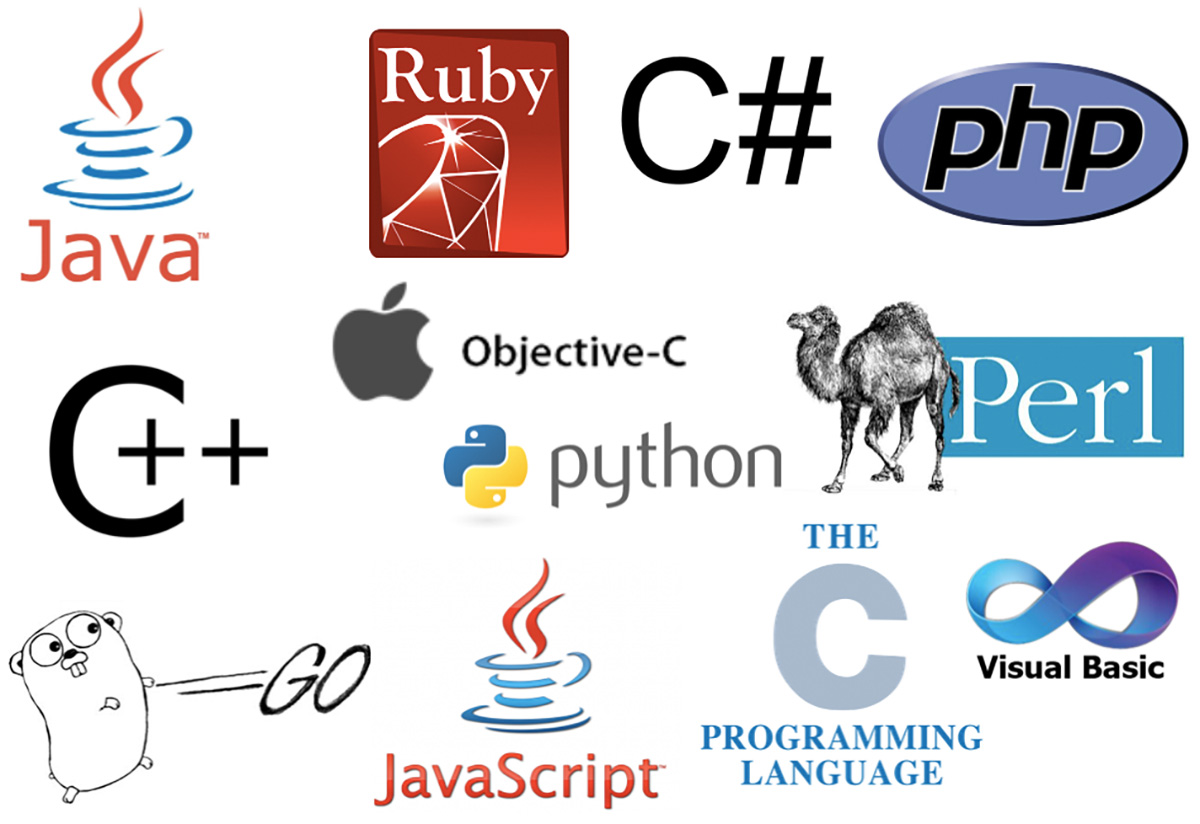 Visual Basic